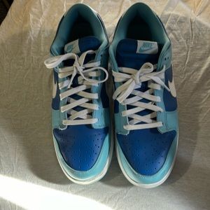 Nike Dunks Low Retro Argon